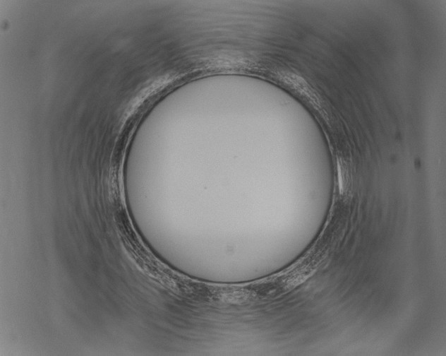 X0000068310579200605051533