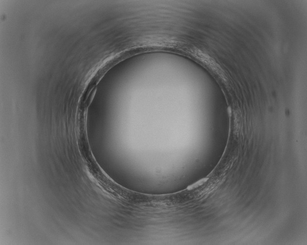 X0000068310580200605051533