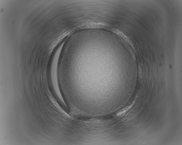 X0000068310581200605051533