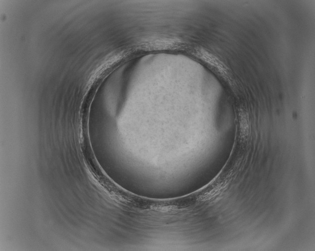 X0000068310582200605051533