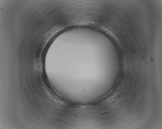 X0000068310584200605051533