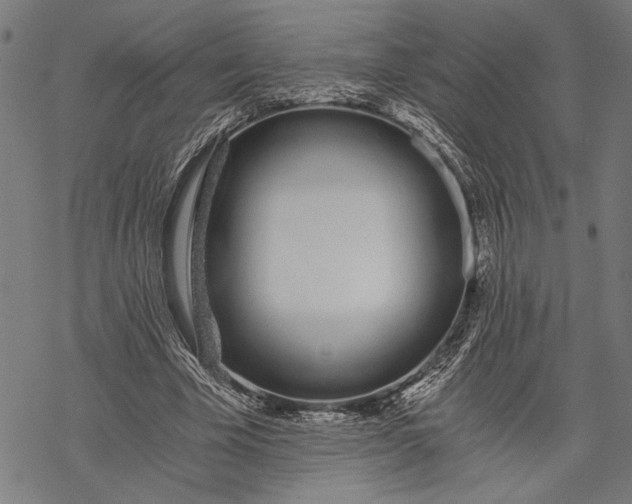 X0000068310585200605051533