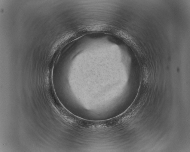 X0000068310586200605051533