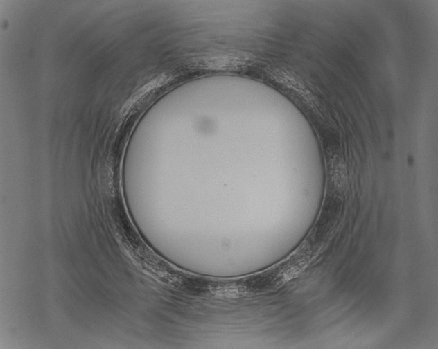 X0000068310587200605051533