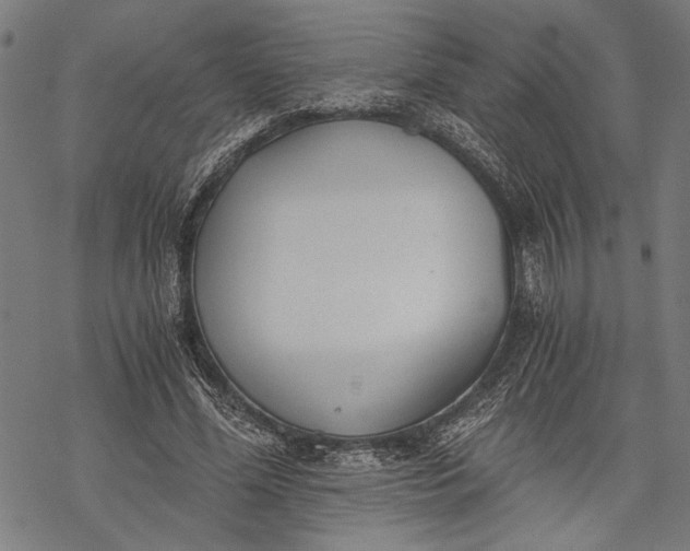 X0000068310588200605051533