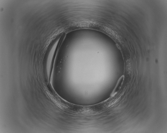 X0000068310589200605051533