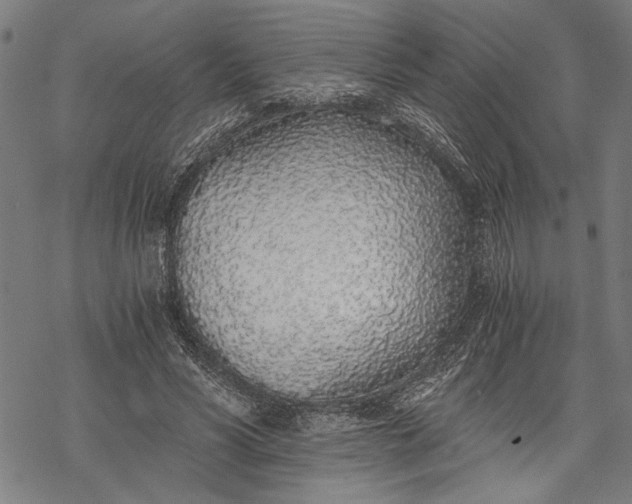 X0000068310590200605051533