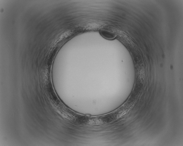 X0000068310591200605051533