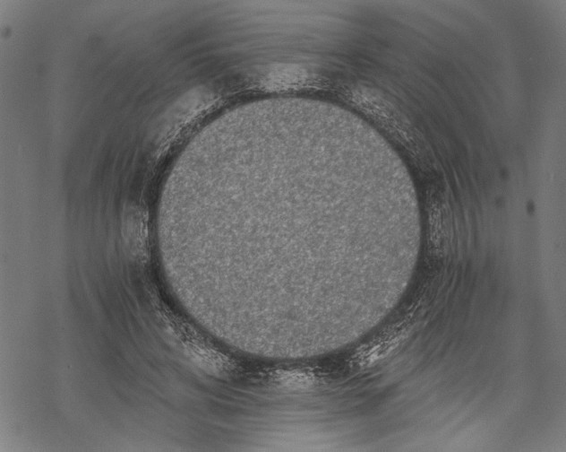 X0000068310592200605051533