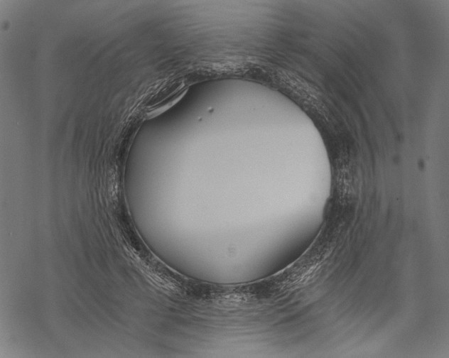 X0000068310593200605051533