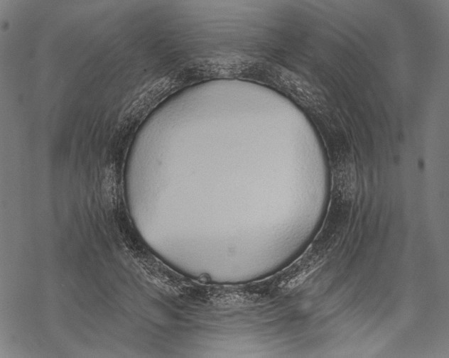 X0000068310594200605051533