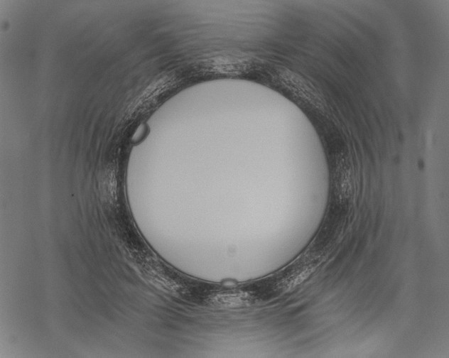 X0000068310595200605051533