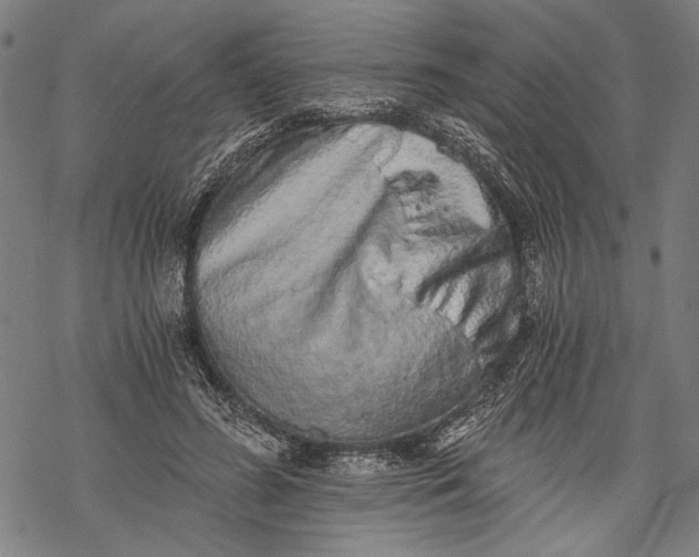 X0000068310596200605051533