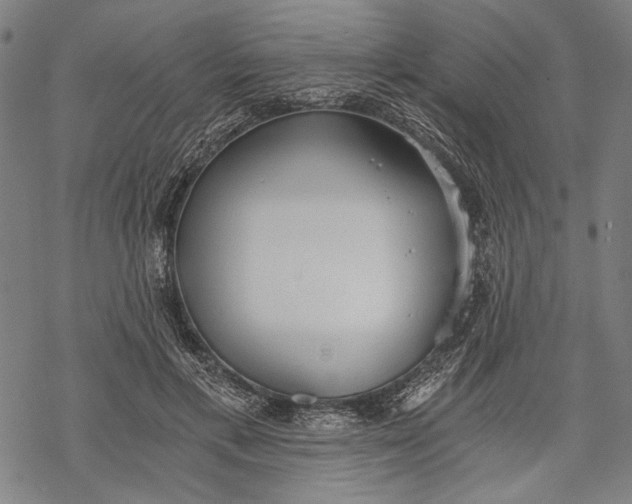 X0000068310597200605051533