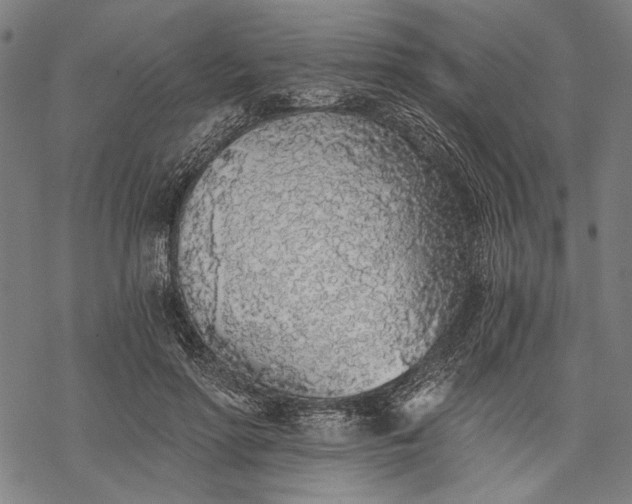 X0000068310598200605051533