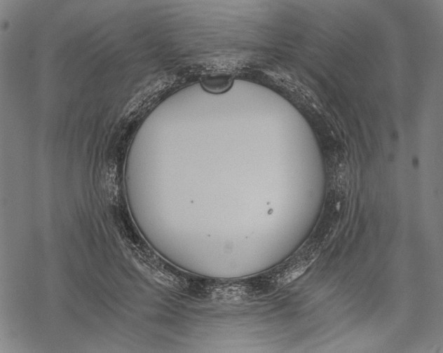 X0000068310599200605051533