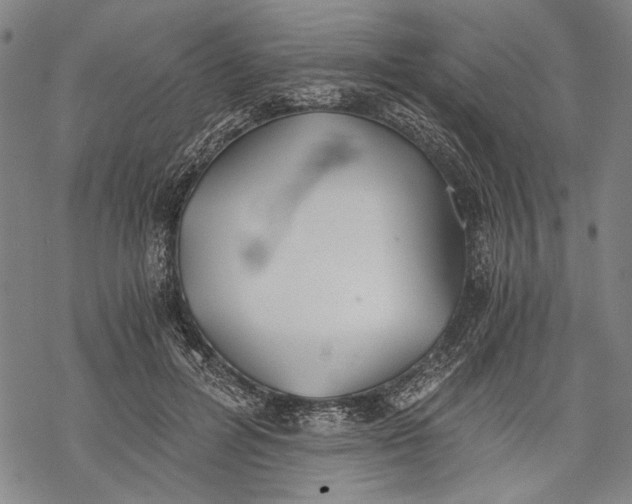 X0000068310600200605051533