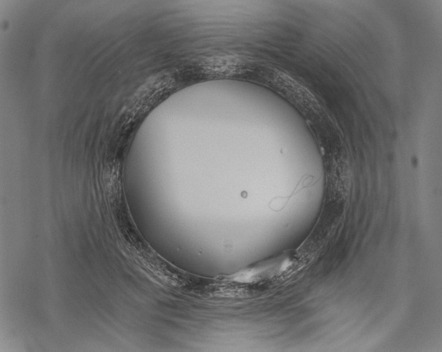 X0000068310601200605051533