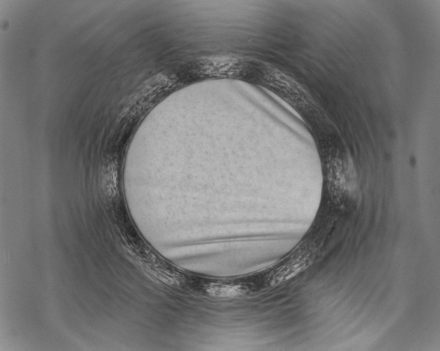 X0000068310602200605051533