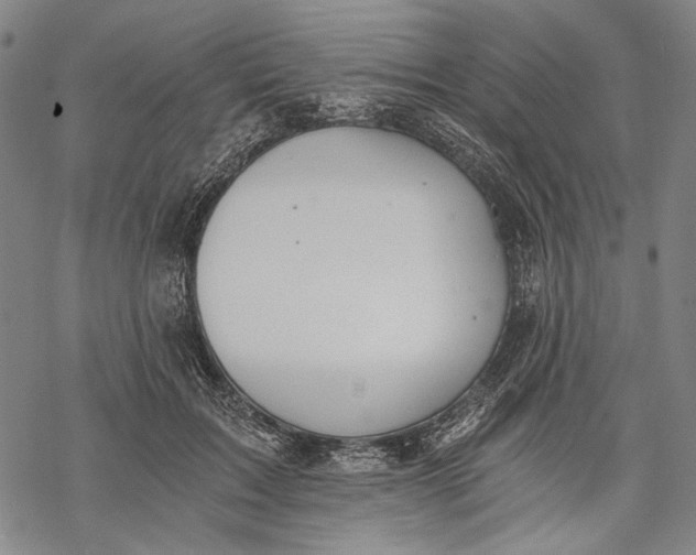 X0000068310603200605051533