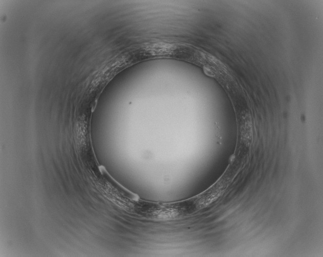 X0000068310604200605051533