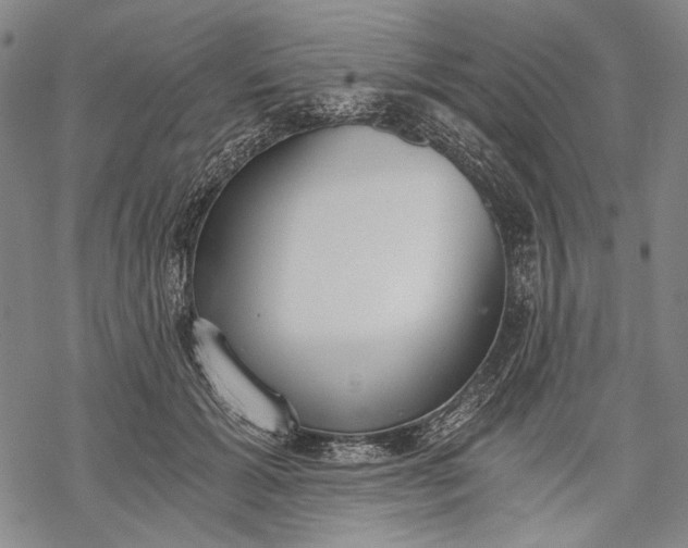 X0000068310605200605051533