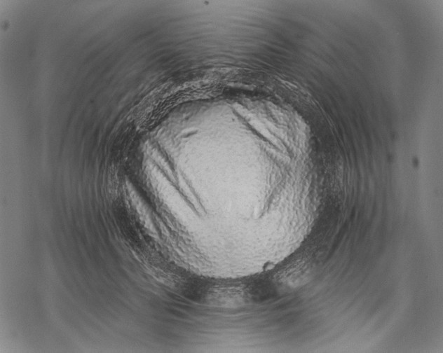 X0000068310606200605051533