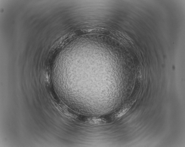 X0000068310607200605051533