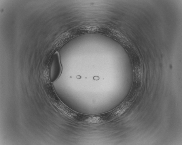 X0000068310609200605051533