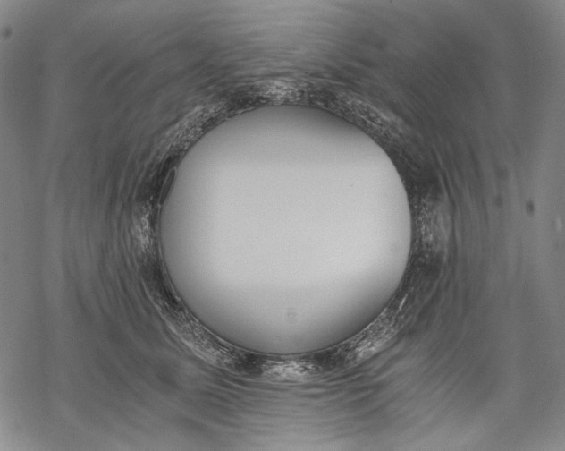 X0000068310611200605051532