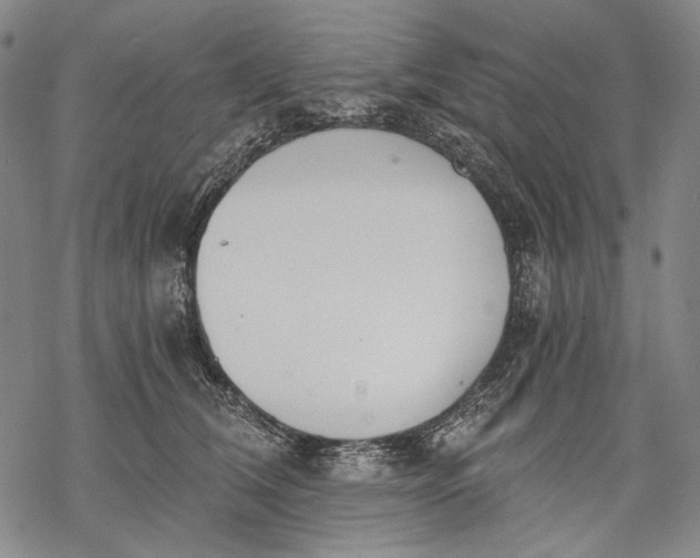 X0000068310612200605051532