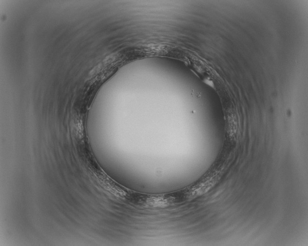 X0000068310613200605051532