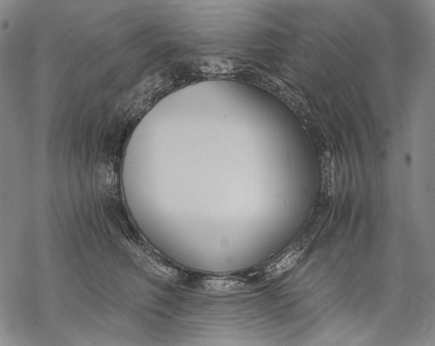 X0000068310614200605051532