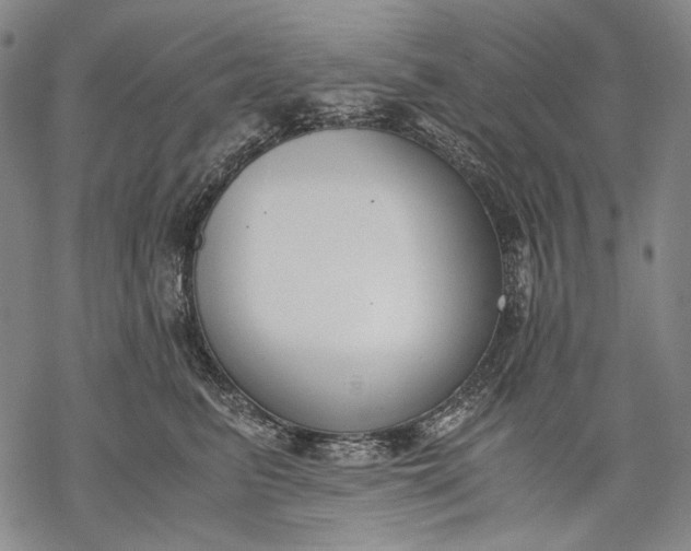 X0000068310615200605051532