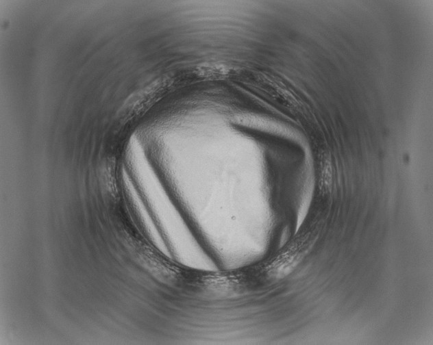 X0000068310616200605051532