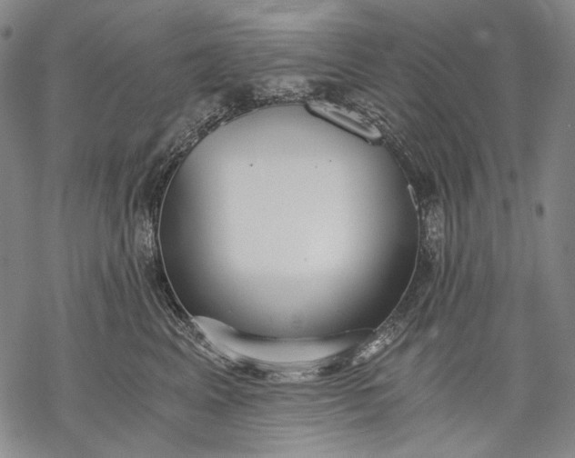 X0000068310617200605051532