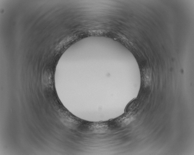 X0000068310619200605051532