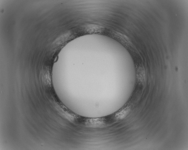 X0000068310622200605051532