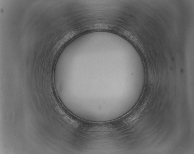 X0000068310625200605051531