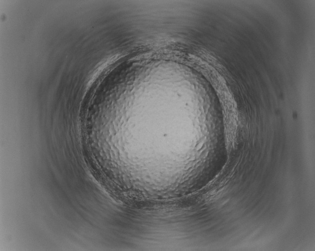 X0000068310626200605051532