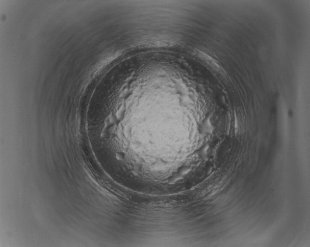 X0000068310627200605051532