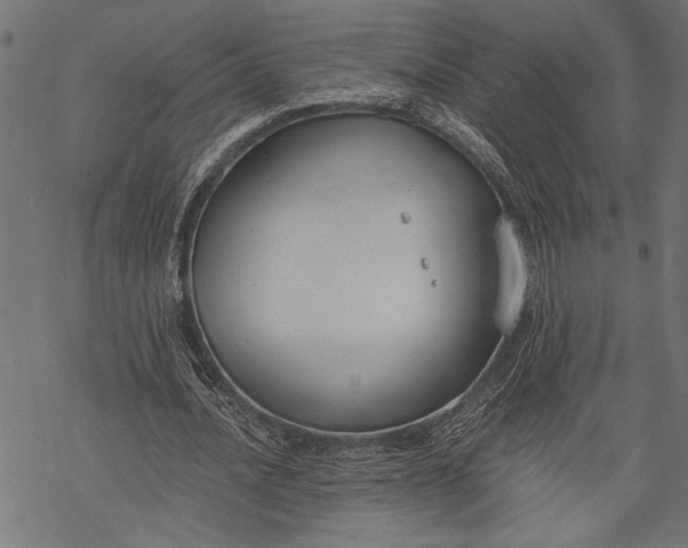 X0000068310628200605051532