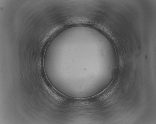 X0000068310629200605051532