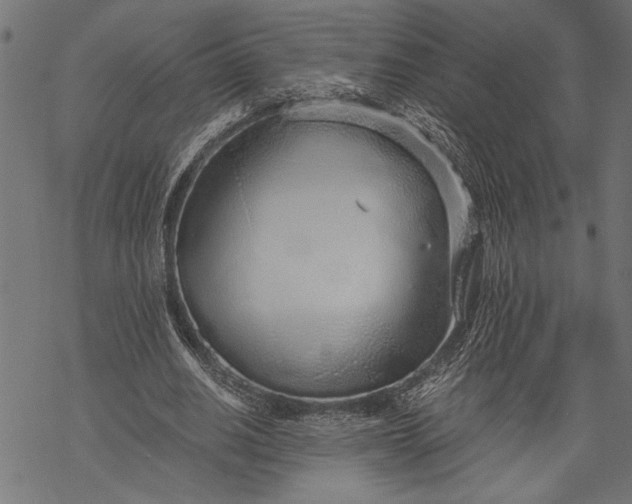 X0000068310630200605051532