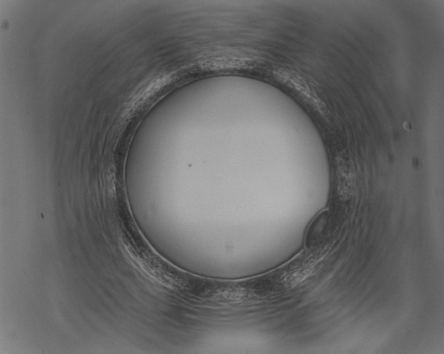 X0000068310631200605051532