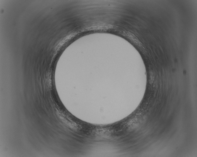 X0000068310632200605051532