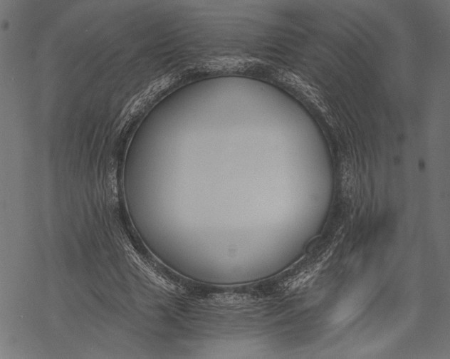 X0000068310633200605051532