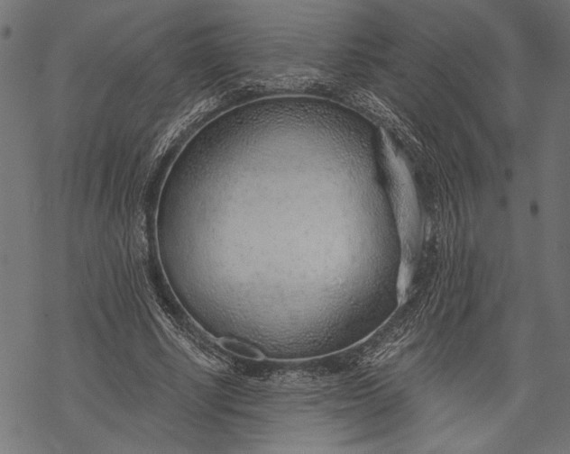 X0000068310634200605051532