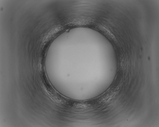 X0000068310635200605051532