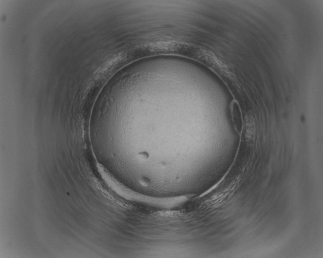 X0000068310637200605051532